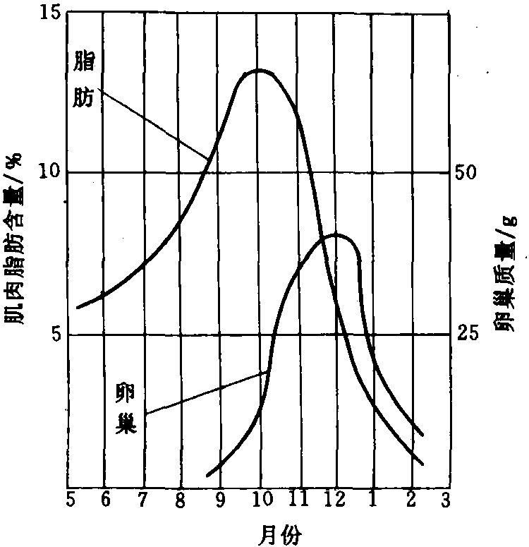 二、魚貝類的一般化學(xué)組成